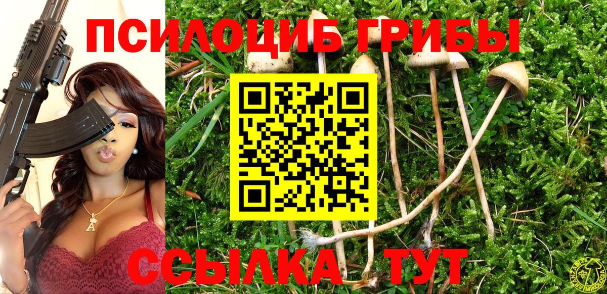 Галлюциногенные грибы Magic Shrooms Новомосковск