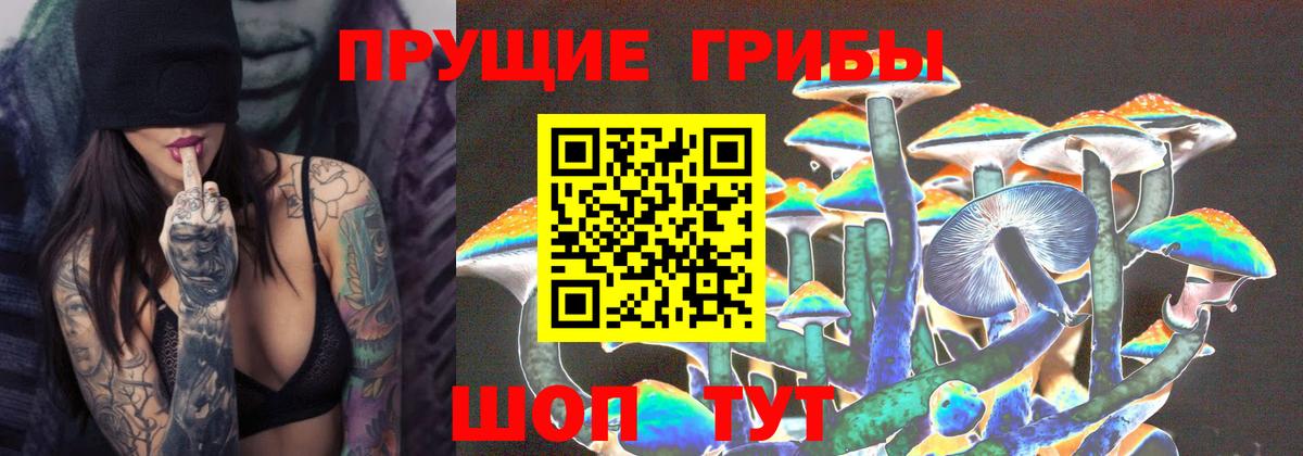Галлюциногенные грибы Cubensis  Галлюциногенные грибы Magic Shrooms  Новомосковск  Вход с VPN 